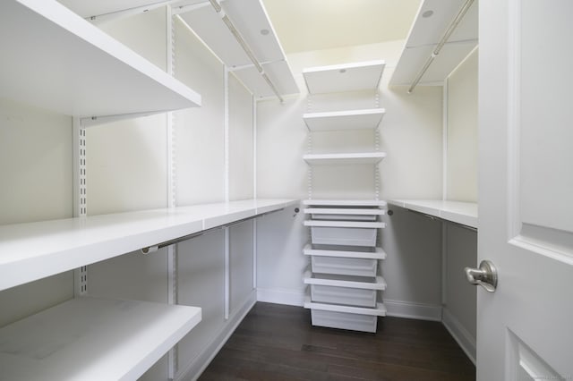 spacious closet featuring dark wood-style floors