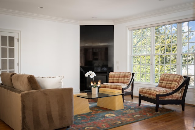 living area featuring a large fireplace, wood finished floors, and ornamental molding