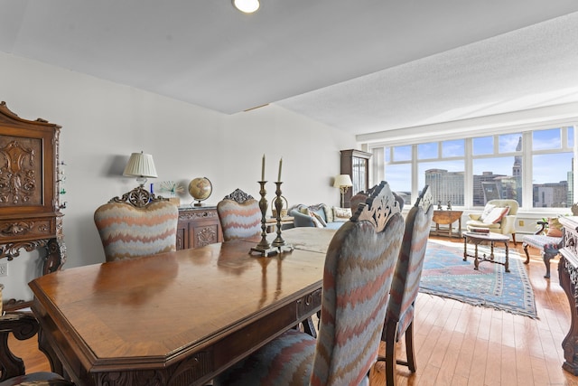 dining room featuring light wood-style floors and a view of city