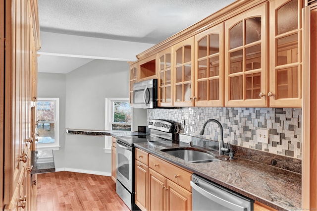 kitchen with light wood finished floors, a wealth of natural light, decorative backsplash, appliances with stainless steel finishes, and a sink