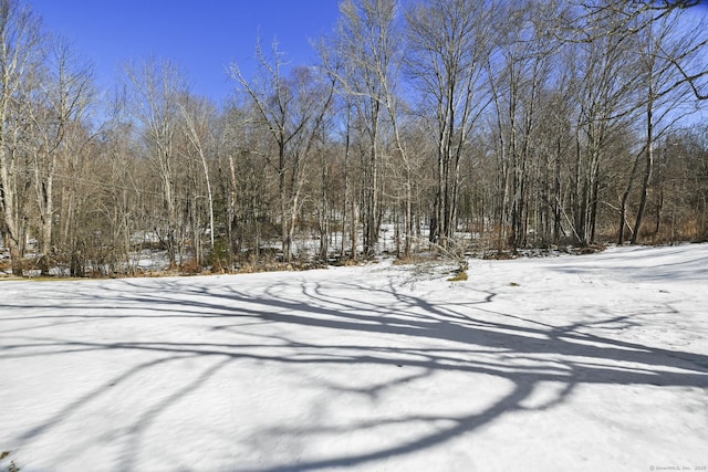 yard covered in snow featuring a wooded view