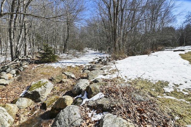 view of snow covered land featuring a forest view