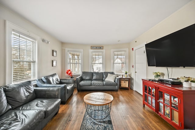 living area with hardwood / wood-style floors