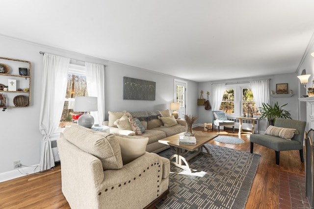 living room featuring a wealth of natural light, radiator, baseboards, and wood finished floors