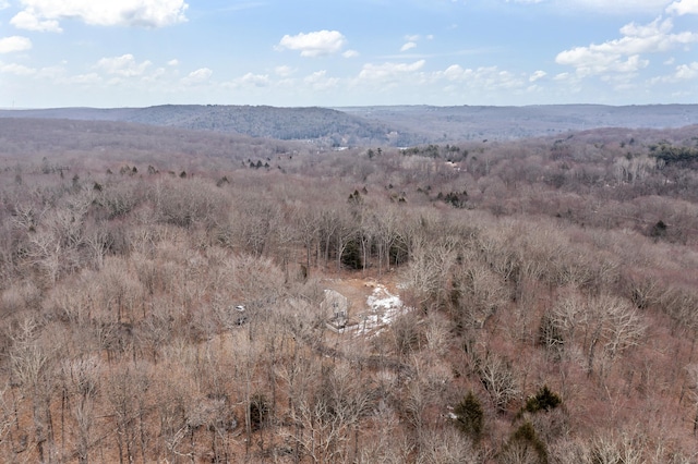 view of mountain feature with a wooded view