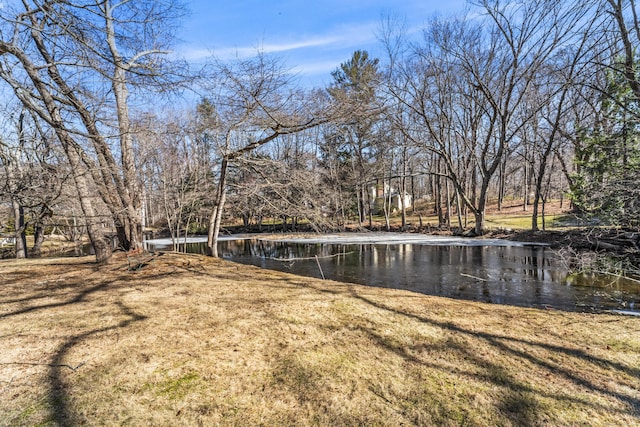 view of yard with a water view