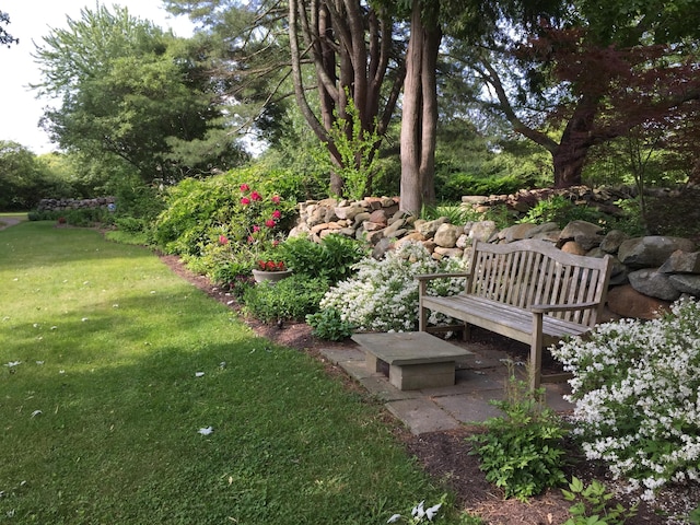 579 Taugwonk Rd, Stonington, CT 06378 - view of grassy yard