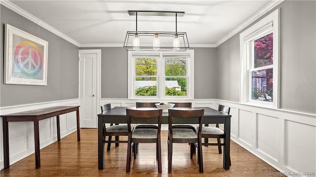 dining room with dark wood finished floors, wainscoting, and crown molding