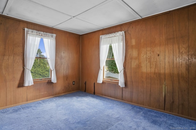 carpeted empty room with wooden walls, baseboards, and a wealth of natural light