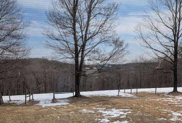 view of mountain feature featuring a forest view