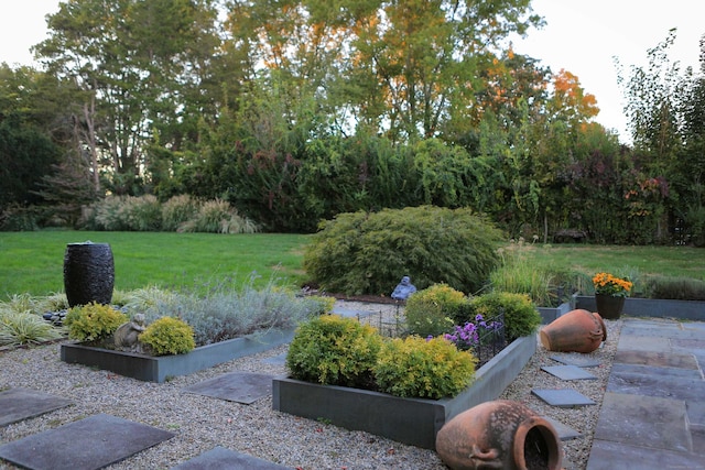 view of yard with a vegetable garden