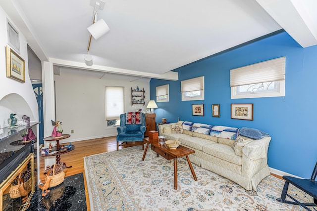 living area featuring rail lighting, wood finished floors, a wealth of natural light, and baseboards