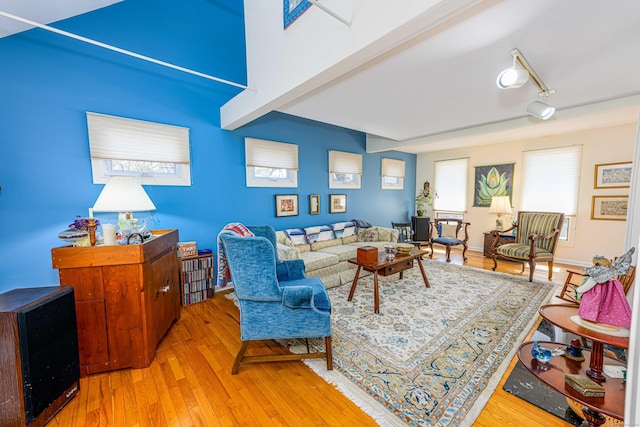 living area with wood-type flooring, baseboards, and track lighting