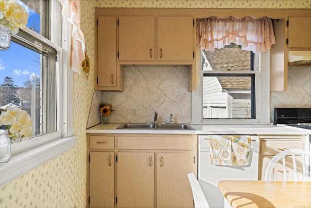 kitchen featuring under cabinet range hood, a sink, range with gas stovetop, light countertops, and wallpapered walls