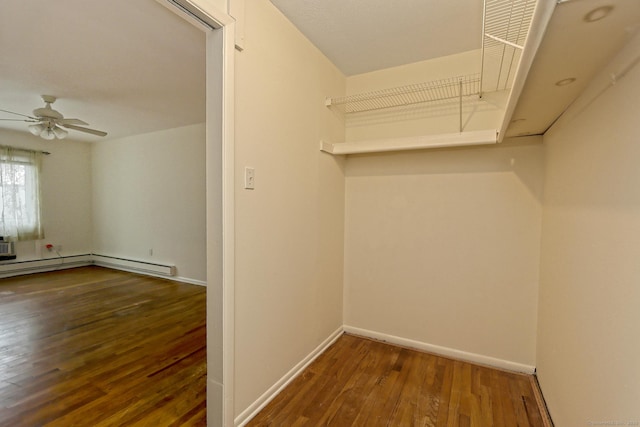 walk in closet with a ceiling fan and hardwood / wood-style flooring