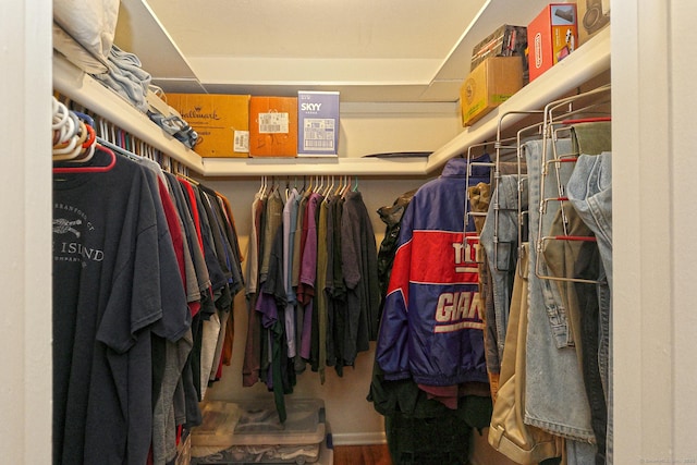 view of spacious closet