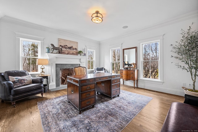 31 Birch Hill Rd, Lyme, CT 06371 - office featuring healthy amount of natural light, ornamental molding, a fireplace, dark wood-style flooring, and baseboards