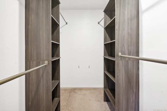 walk in closet with carpet flooring