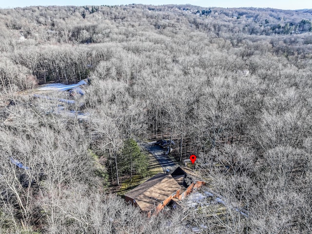 aerial view with a forest view