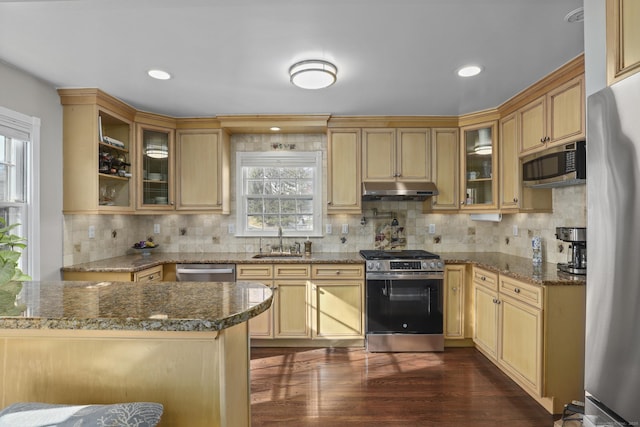 kitchen featuring under cabinet range hood, stainless steel appliances, a sink, tasteful backsplash, and dark wood finished floors