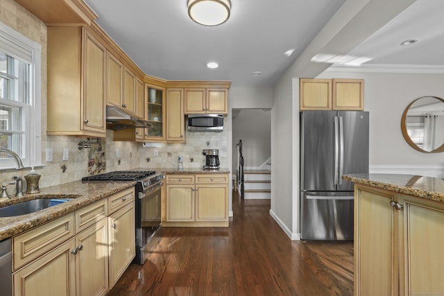 kitchen with light stone counters, backsplash, appliances with stainless steel finishes, a sink, and under cabinet range hood