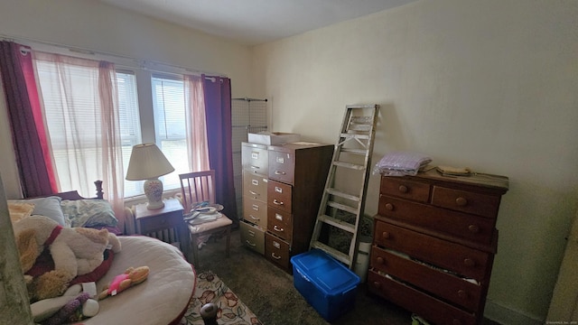 bedroom with dark colored carpet