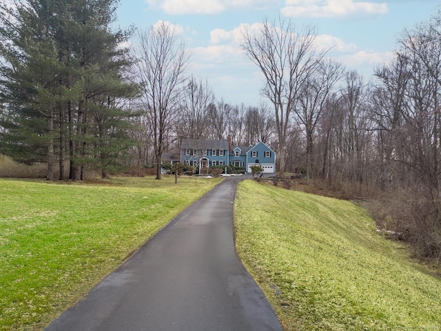 view of road featuring aphalt driveway