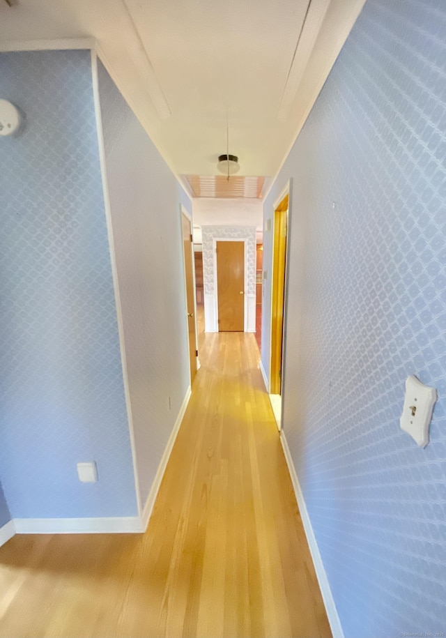 hall featuring light wood-type flooring, attic access, and baseboards