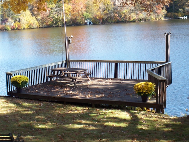 dock area with a water view and a view of trees