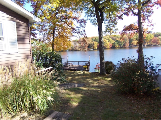 view of yard featuring a boat dock and a water view