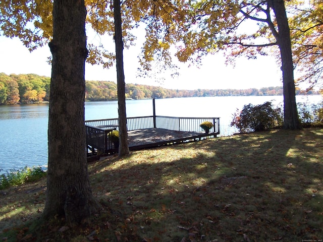 dock area featuring a water view, a lawn, and a forest view