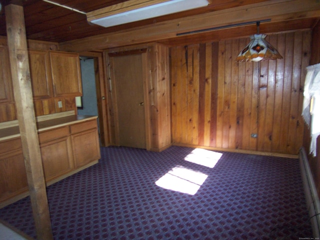 interior space with wood walls