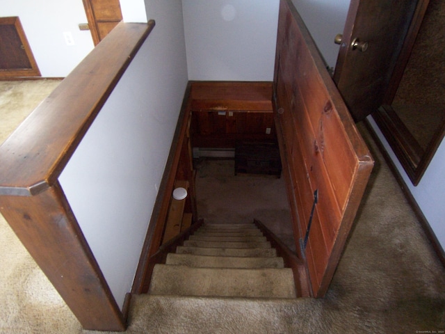 stairs featuring carpet