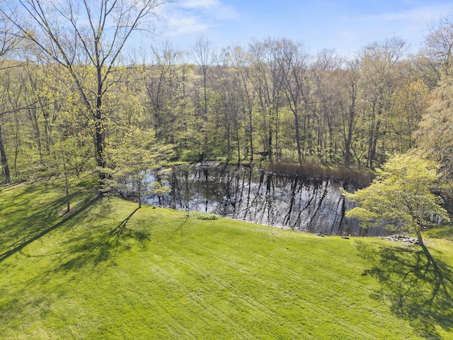 water view with a view of trees