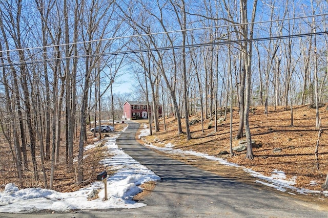 view of street featuring driveway