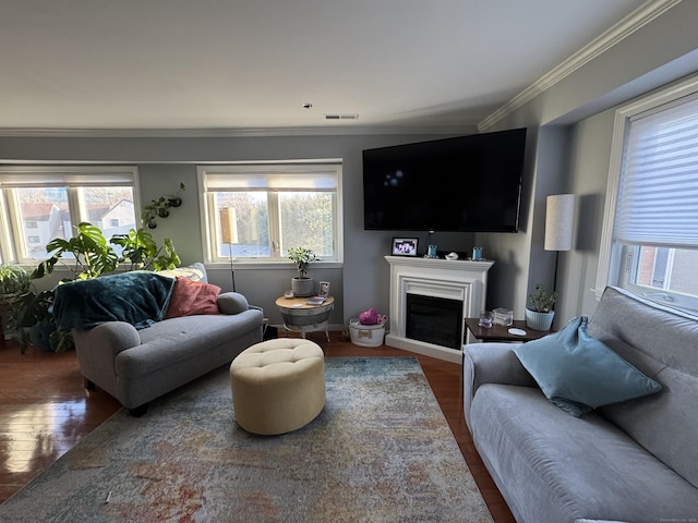 living area featuring ornamental molding, a wealth of natural light, visible vents, and wood finished floors