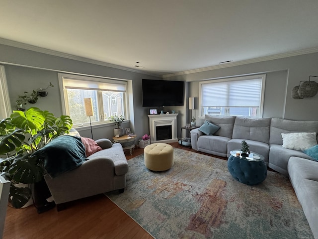 living area featuring a fireplace, crown molding, and wood finished floors