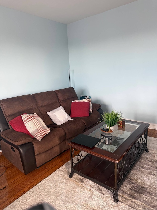 living room featuring wood finished floors