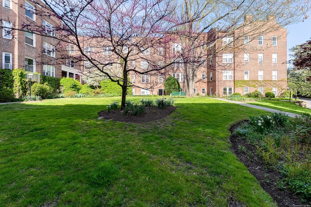 70 Strawberry Hill Ave Apt 3-3B, Stamford, CT 06902 - surrounding community featuring a lawn