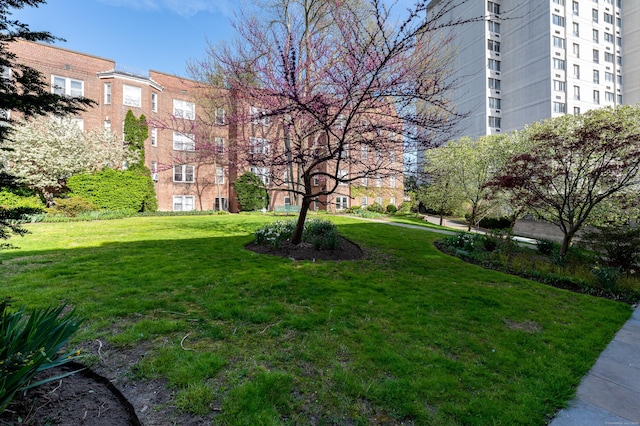 70 Strawberry Hill Ave Apt 3-3B, Stamford, CT 06902 - view of property's community with a lawn