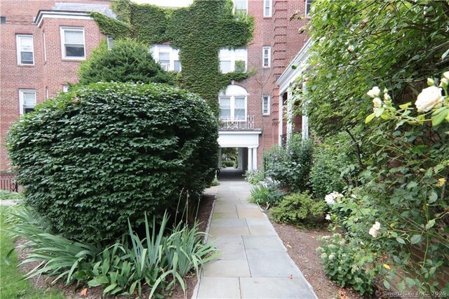 70 Strawberry Hill Ave Apt 3-3B, Stamford, CT 06902 - view of community