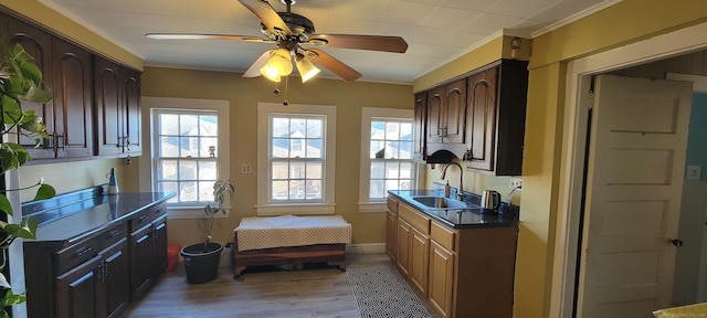 kitchen featuring crown molding, dark countertops, light wood-style floors, a sink, and ceiling fan