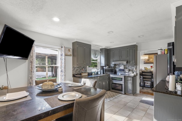 kitchen featuring gray cabinetry, under cabinet range hood, stainless steel appliances, a sink, and decorative backsplash