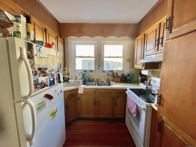 kitchen with white appliances, brown cabinets, light countertops, under cabinet range hood, and a sink