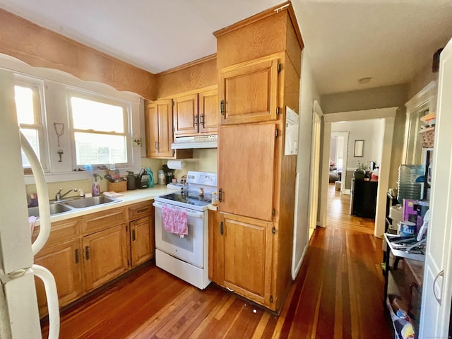 kitchen with under cabinet range hood, white appliances, dark wood-type flooring, a sink, and light countertops