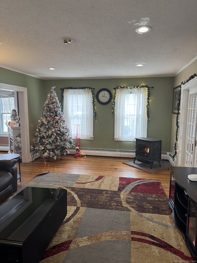 living area with plenty of natural light, wood finished floors, and a wood stove