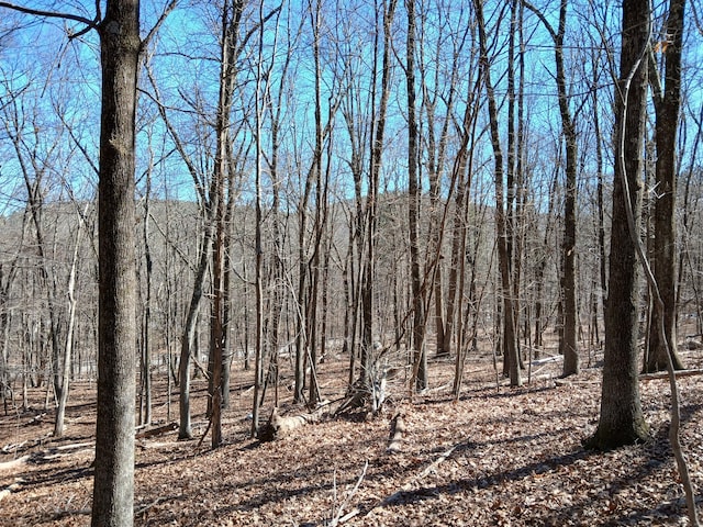 Sherman Rd, New Milford, CT 06776
