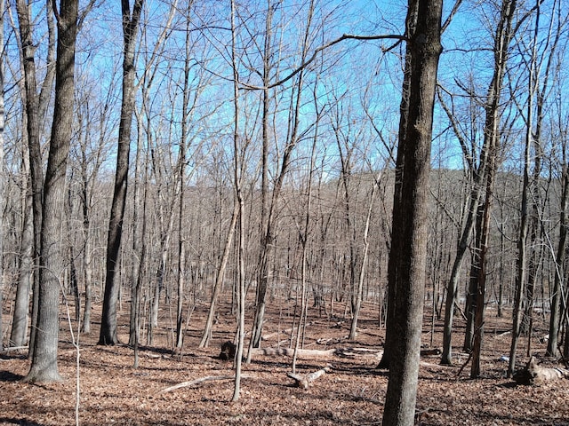 Sherman Rd, New Milford, CT 06776