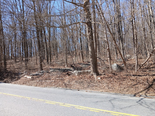 Sherman Rd, New Milford, CT 06776
