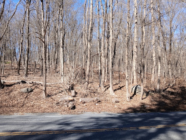 Sherman Rd, New Milford, CT 06776